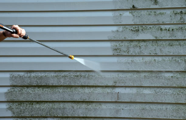 Best Fence Cleaning  in Preston, MN