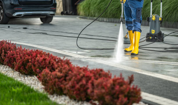 Best Gutter Cleaning  in Preston, MN
